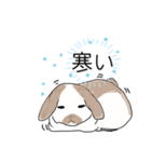 ホーランドロップ（個別スタンプ：6）