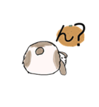 ホーランドロップ（個別スタンプ：7）