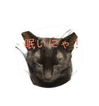 うめたんの弟くろすけと妹のりあたんの一言（個別スタンプ：6）