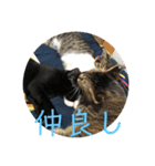 うめたんの弟くろすけと妹のりあたんの一言（個別スタンプ：7）