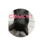 うめたんの弟くろすけと妹のりあたんの一言（個別スタンプ：8）