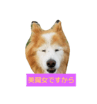 シンバちゃんの気持ち 2（個別スタンプ：9）