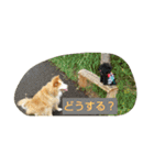シンバちゃんの気持ち 2（個別スタンプ：20）