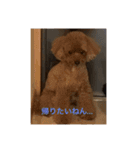 ABCワン公（個別スタンプ：1）