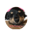 ABCワン公（個別スタンプ：2）