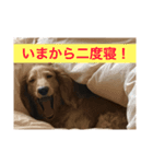 ABCワン公（個別スタンプ：3）