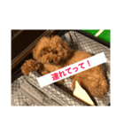ABCワン公（個別スタンプ：5）