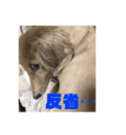 ABCワン公（個別スタンプ：7）