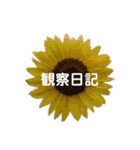 スケジュール／学校行事（個別スタンプ：1）