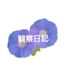 スケジュール／学校行事（個別スタンプ：2）
