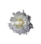 スケジュール／学校行事（個別スタンプ：3）