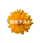 スケジュール／学校行事（個別スタンプ：4）