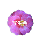 スケジュール／学校行事（個別スタンプ：7）