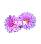 スケジュール／学校行事（個別スタンプ：9）