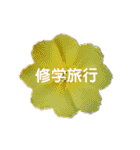 スケジュール／学校行事（個別スタンプ：11）