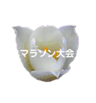 スケジュール／学校行事（個別スタンプ：12）