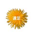 スケジュール／学校行事（個別スタンプ：13）