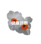 スケジュール／学校行事（個別スタンプ：14）