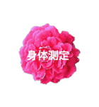 スケジュール／学校行事（個別スタンプ：15）
