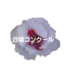 スケジュール／学校行事（個別スタンプ：17）