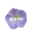 スケジュール／学校行事（個別スタンプ：22）