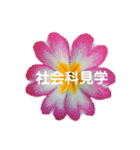 スケジュール／学校行事（個別スタンプ：23）