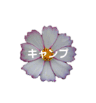 スケジュール／学校行事（個別スタンプ：25）