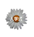 スケジュール／学校行事（個別スタンプ：28）