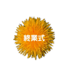 スケジュール／学校行事（個別スタンプ：30）