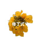 スケジュール／学校行事（個別スタンプ：31）