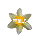 スケジュール／学校行事（個別スタンプ：32）