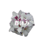 スケジュール／学校行事（個別スタンプ：33）