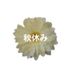 スケジュール／学校行事（個別スタンプ：35）