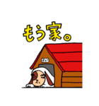 ヂョンさん犬ですねん！関西弁（個別スタンプ：34）