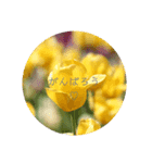 一言花（個別スタンプ：2）