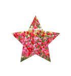 一言花（個別スタンプ：4）
