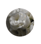 一言花（個別スタンプ：5）