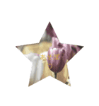 一言花（個別スタンプ：8）