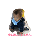 ハルの一言（個別スタンプ：12）