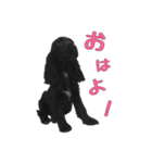 インギーのEmmaちゃん。（個別スタンプ：6）
