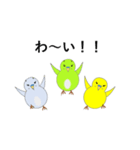 セキセイインコの気持ち（個別スタンプ：1）
