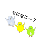 セキセイインコの気持ち（個別スタンプ：4）