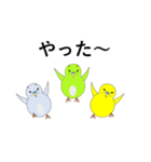 セキセイインコの気持ち（個別スタンプ：5）