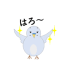セキセイインコの気持ち（個別スタンプ：8）