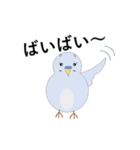 セキセイインコの気持ち（個別スタンプ：9）