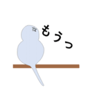 セキセイインコの気持ち（個別スタンプ：26）