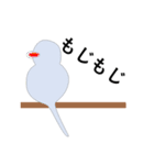 セキセイインコの気持ち（個別スタンプ：31）