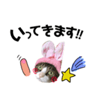Punk＆Rock 猫 スタンプ①（個別スタンプ：6）