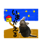 Punk＆Rock 猫 スタンプ①（個別スタンプ：10）