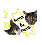Punk＆Rock 猫 スタンプ①（個別スタンプ：32）